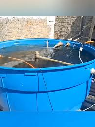 Harvesting fish